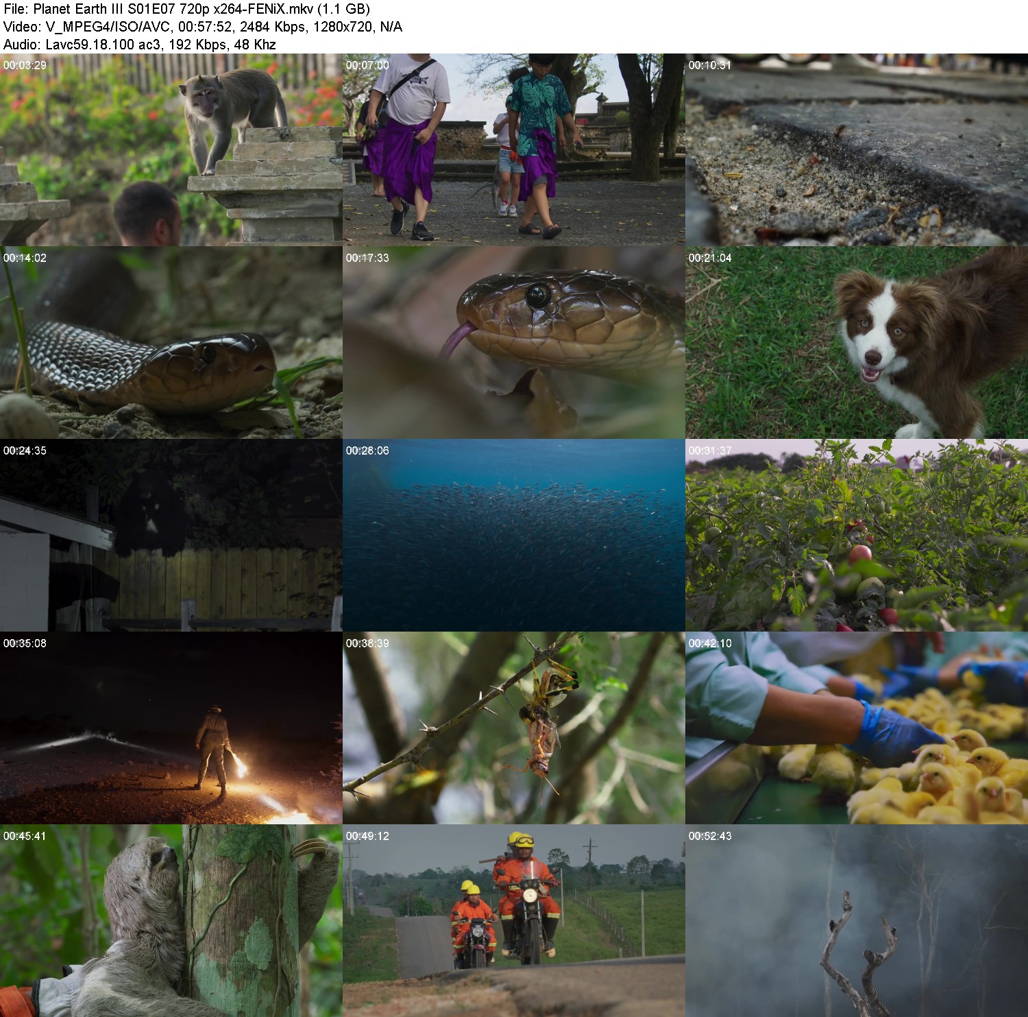 [Image: 36weq4iq2ufo.jpg]