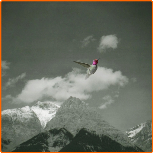 [Image: z5dnd9c1jz5a.png]