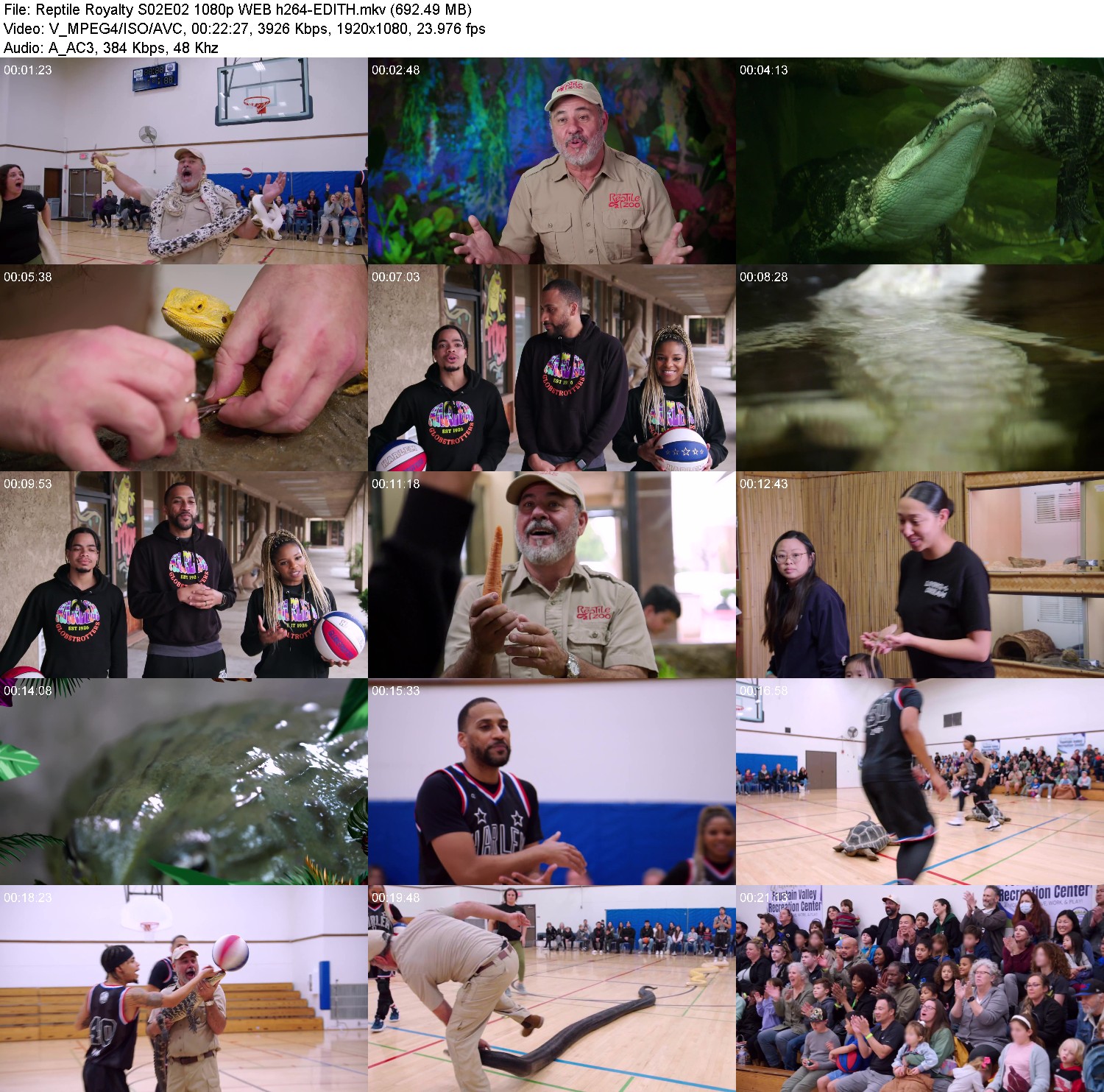 [Image: ddx95bs7c4qz.jpg]