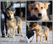 Be-Funky-collage-26.jpg&key=ca8f9b07bbe0