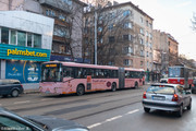 IMG-3101