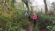 IMG-20260117-124313