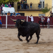 IMG-0029