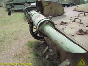 IMG-6432