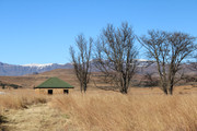 IMG-0594