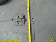 IMG-6550