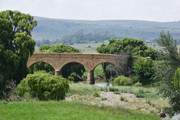 DSC-0038