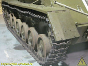 IMG-3640