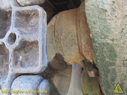 IMG-5544