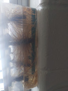 IMG_20250930_082924_01