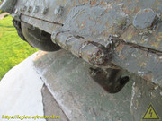 IMG-9304