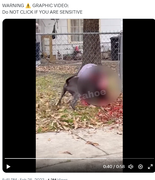 Screenshot Capture - 2023-09-16 - 02-48-05