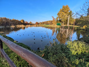 PXL_20211024_162246553