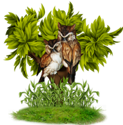 0_13475c_f452e04_orig