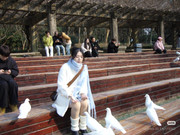 photo 16 2025 12 24 16 00 33