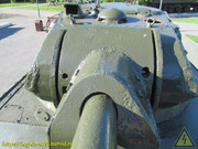 IMG-5591