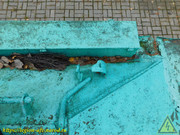 DSCN5243