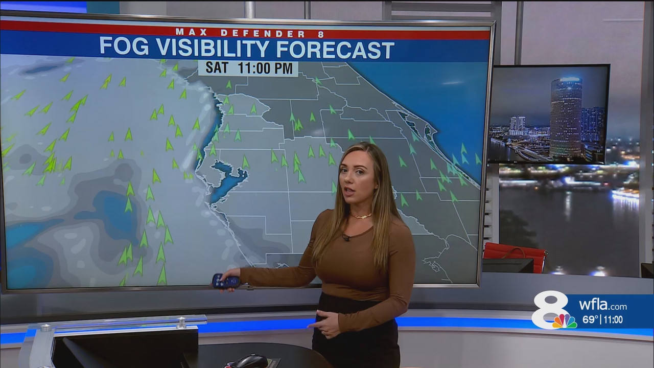 NewsChannel 8 at 11p Saturday_20250119_04000429.ts_snapshot_02.00.873