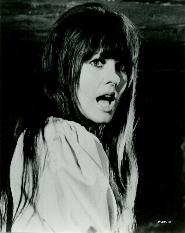 1judy metheson 70 twins hammy