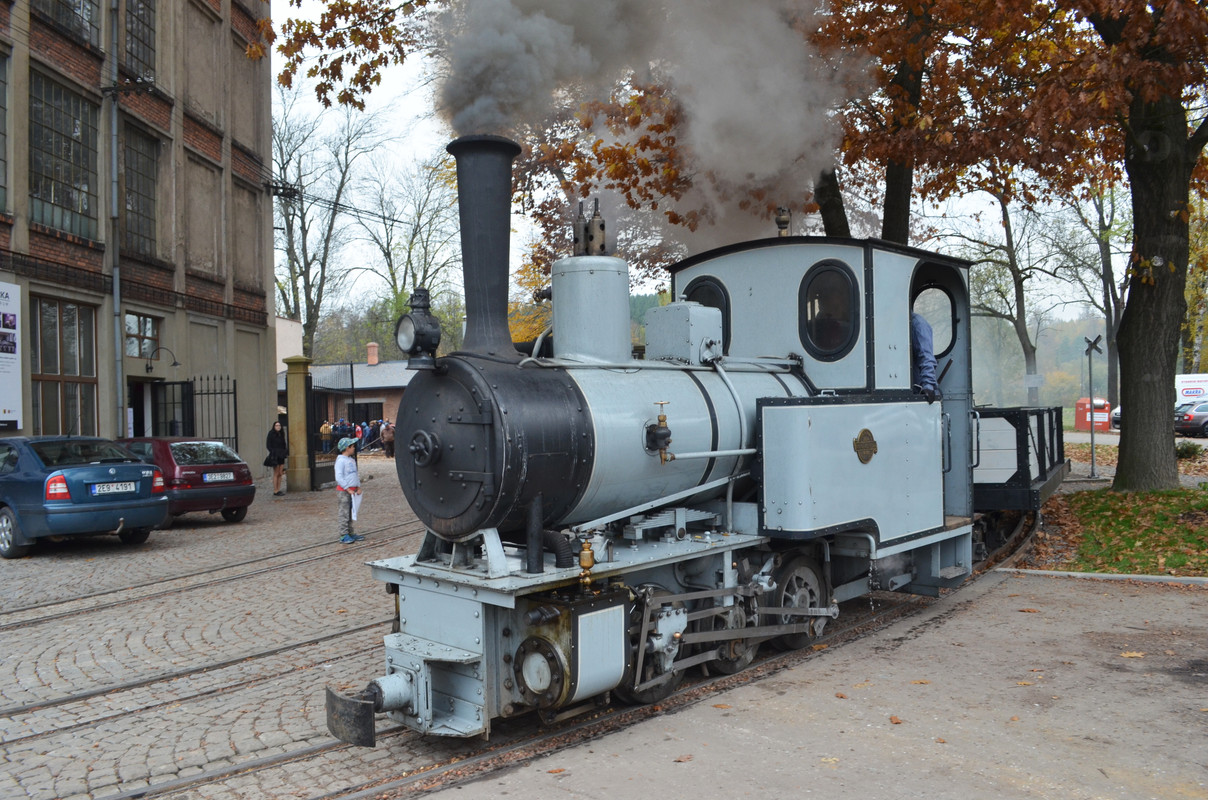 Žamberecký divočák 2019 557