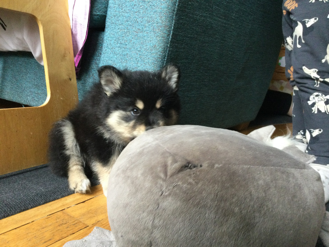 E46C83DC-7963-4C68-A6EC-EE0107387180