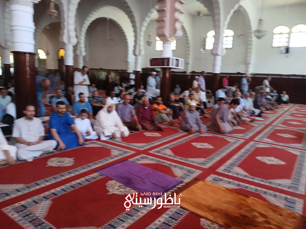 IMG-20240822-WA0019