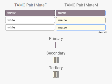 TAMC-SD-Pair1-for-Mate1.png