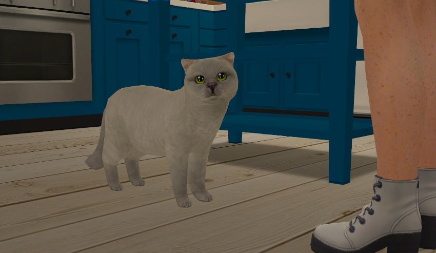 Sims2-EP9-2020-11-15-16-08-19-82