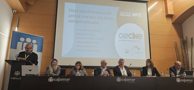 OTRAS VÍAS DE FINANCIACIÓN DEL CINE ESPAÑOL