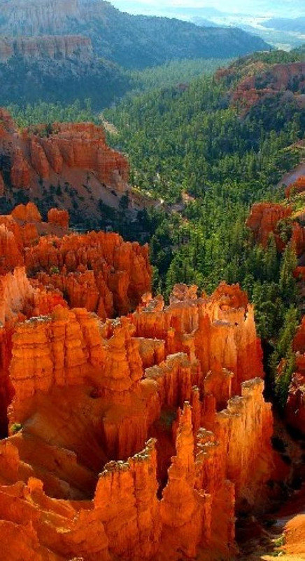 orangebrycecanyon.jpg