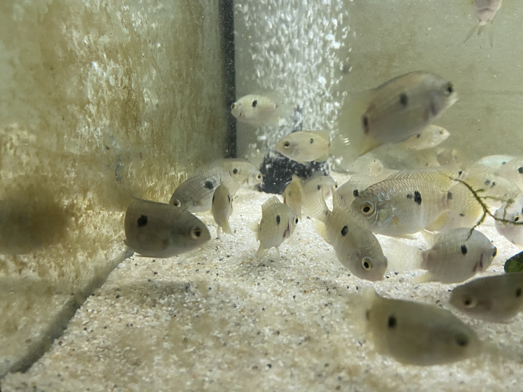 1D7A1230-AE95-479E-BA23-768E962D7651