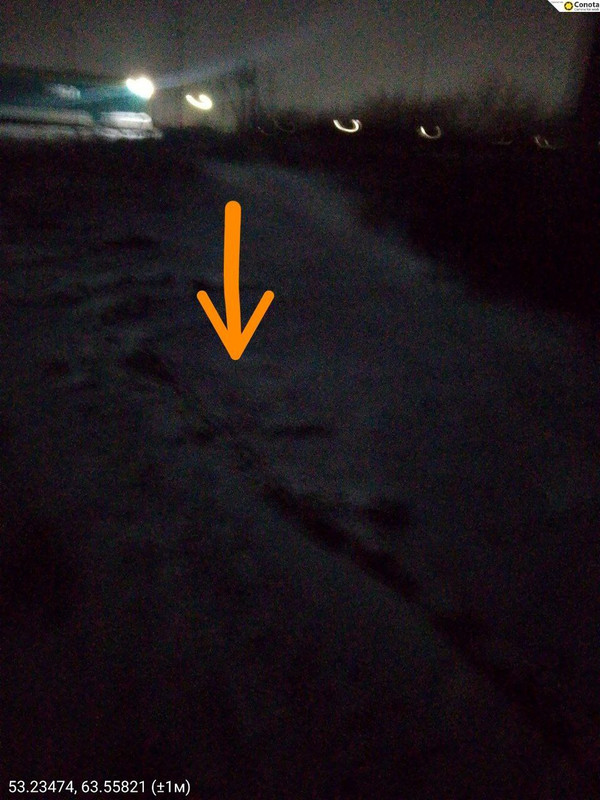 IMG 20251217 174951 320