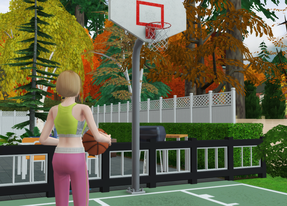 Sims2-EP9-RPC-2022-04-17-19-51-35-24