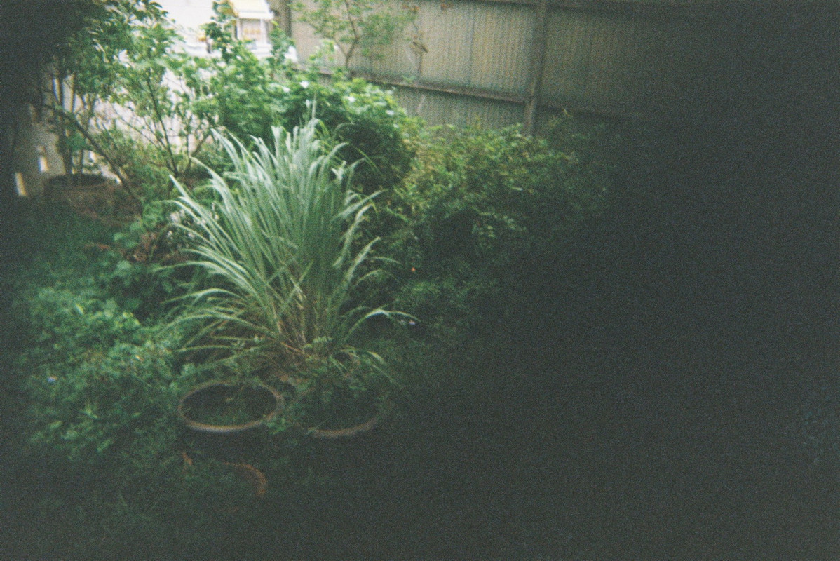 Kodak2-40-resize