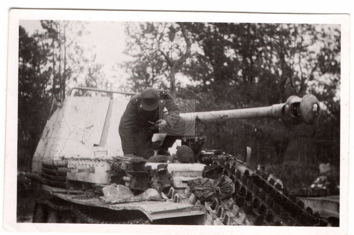 Panzertroops- Comrades on their Panzerjäger Mard