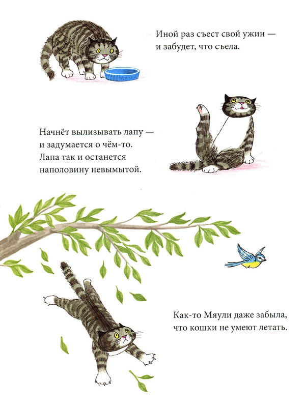 Рассеянная Мяули-06