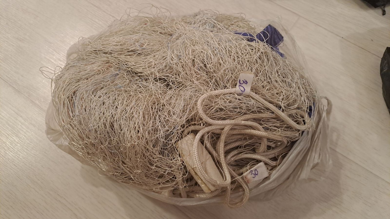 изображение_viber_2023-02-28_12-00-39-966