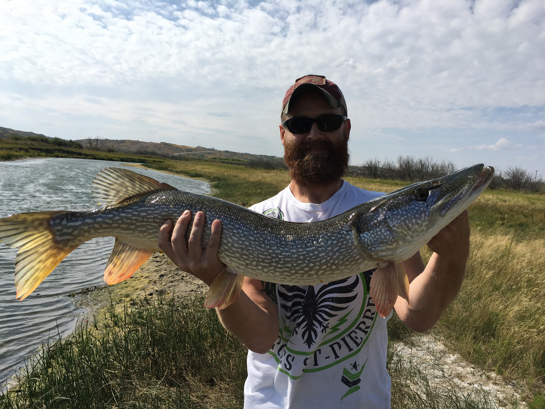 60F737F8-1D14-4012-A686-E18D242AFF67