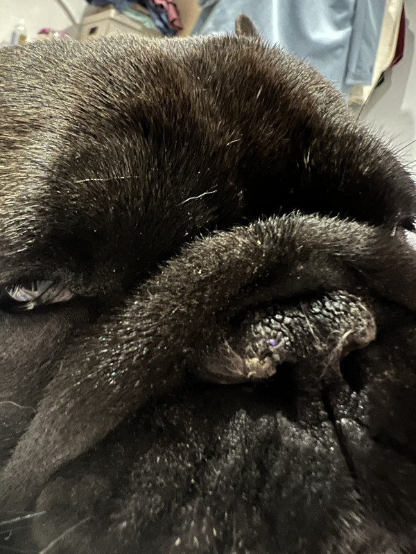 25EB7054-9B0A-4E09-BDCA-9EA7E1DC7ECB