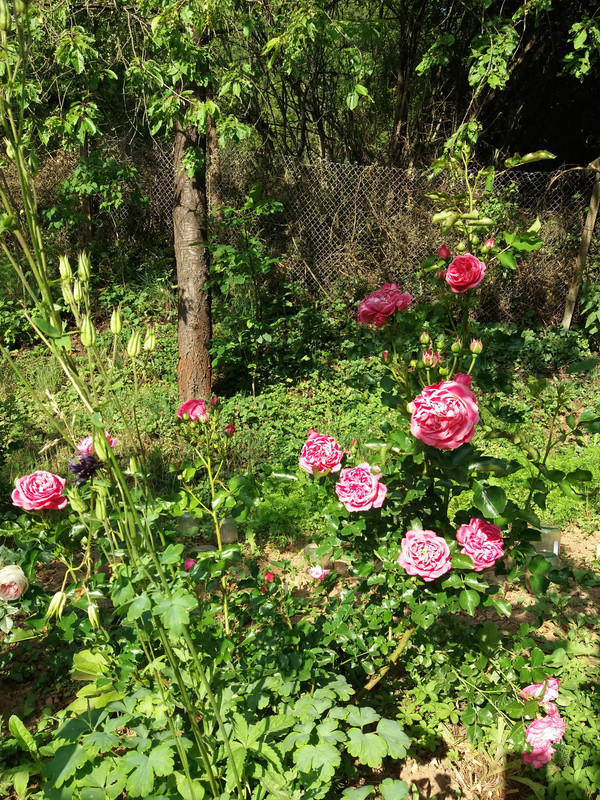 20190615_182944