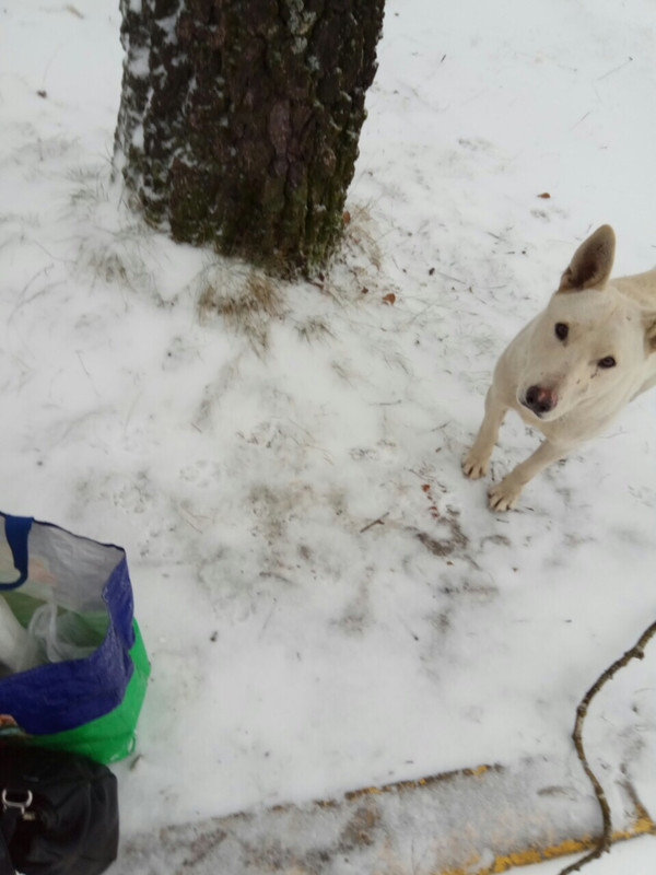 47227C33-18B8-4A86-8FD2-54A8C9E6DE0D