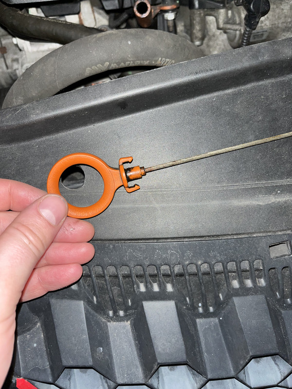 902304E8-DE63-444D-BA50-0B9292F0A8AD