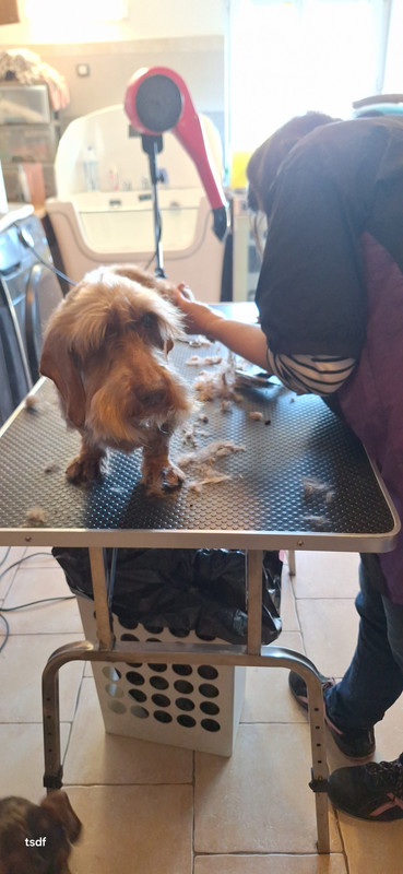 [Image: 20250305-114105.jpg]