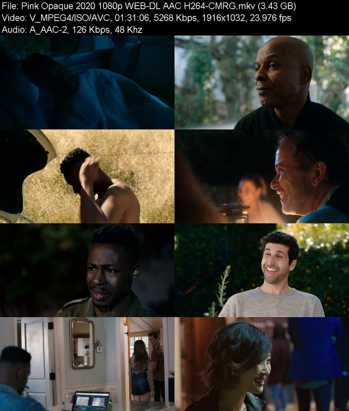 pink-opaque-2020-1080p-web-dl-aac-h264-c