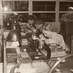 497b22389c64728e4509444f1c0adee9