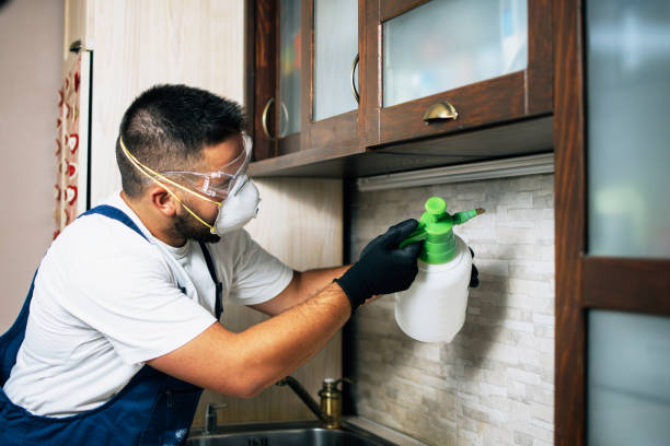 Orlando pest control