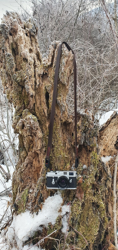 20220127_094002 (606x1280)