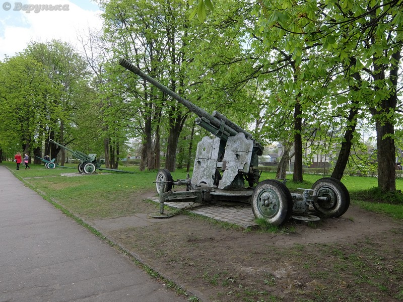 DSCF5010