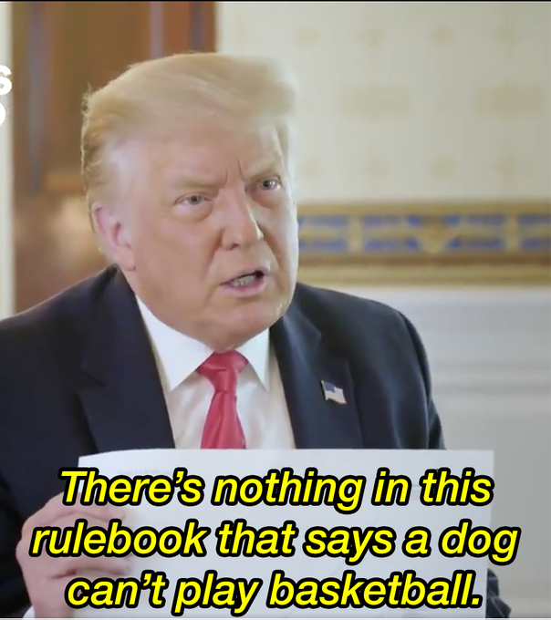 33117-B03-A195-41-C6-9-B87-807-E49-DDA4-