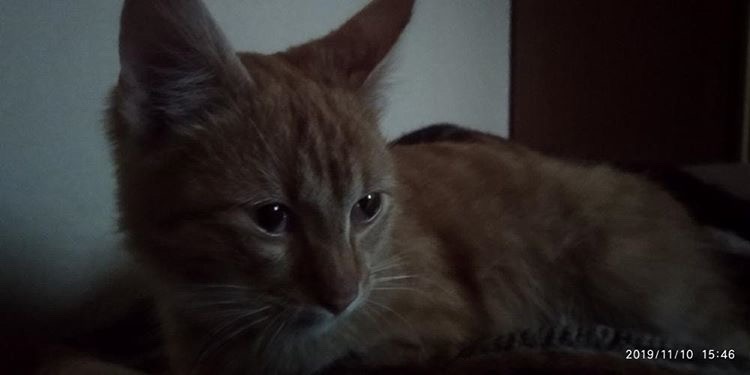 09F33452-2569-4AE5-BBE6-9E07276B9177